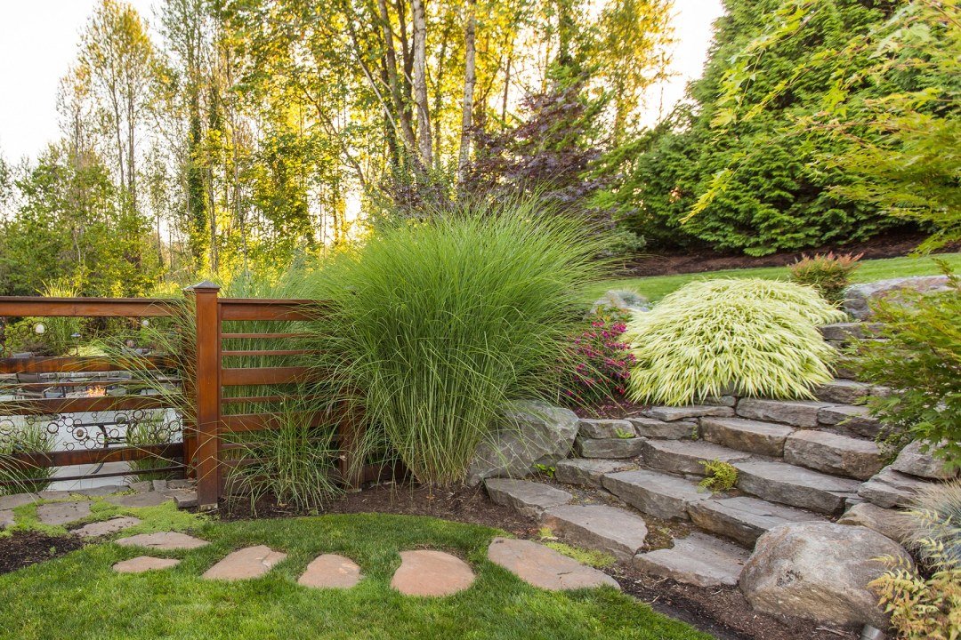 stone steps path and wood screen in landscape