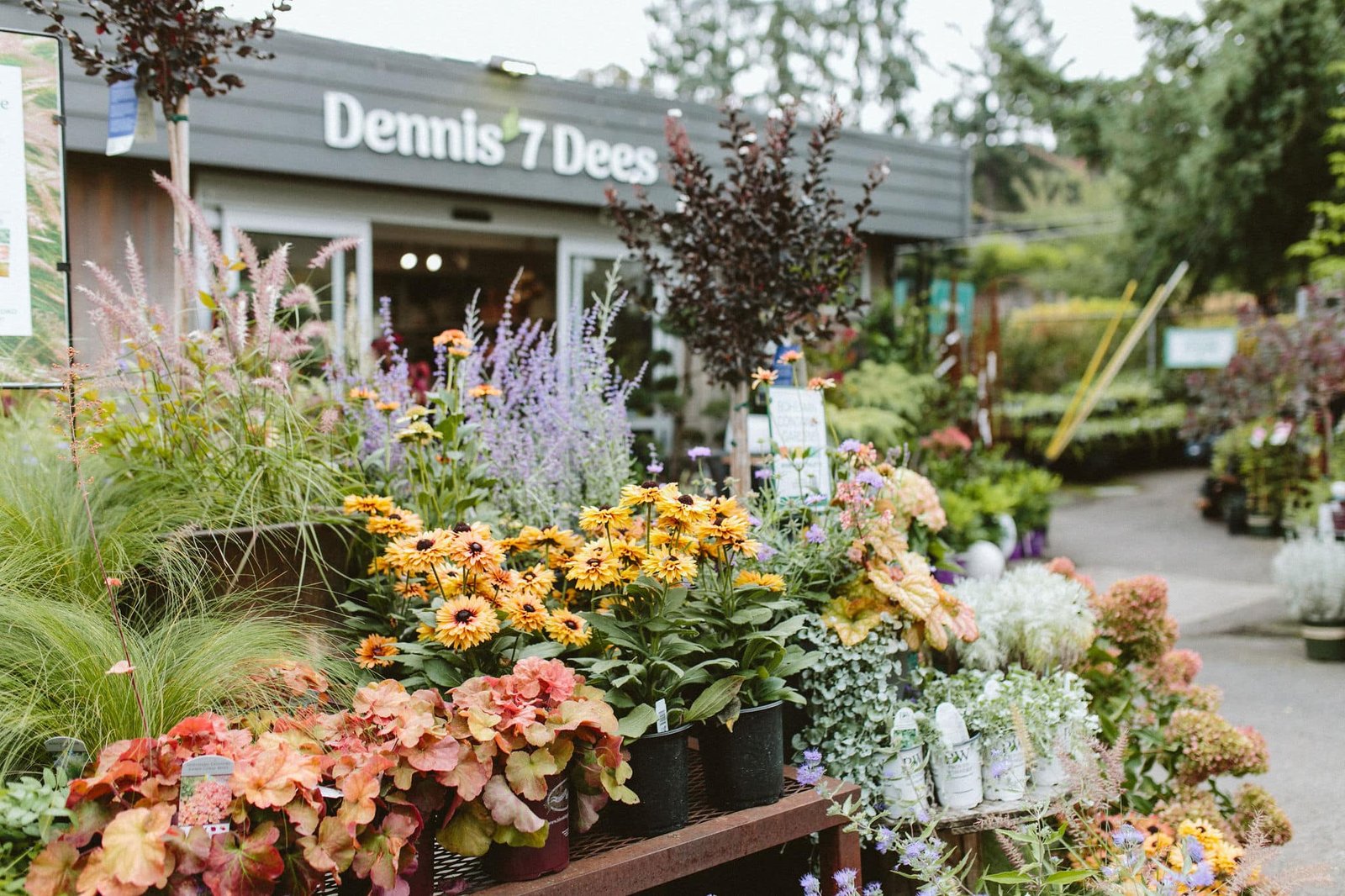 5 Gardening Tasks to Do This Fall