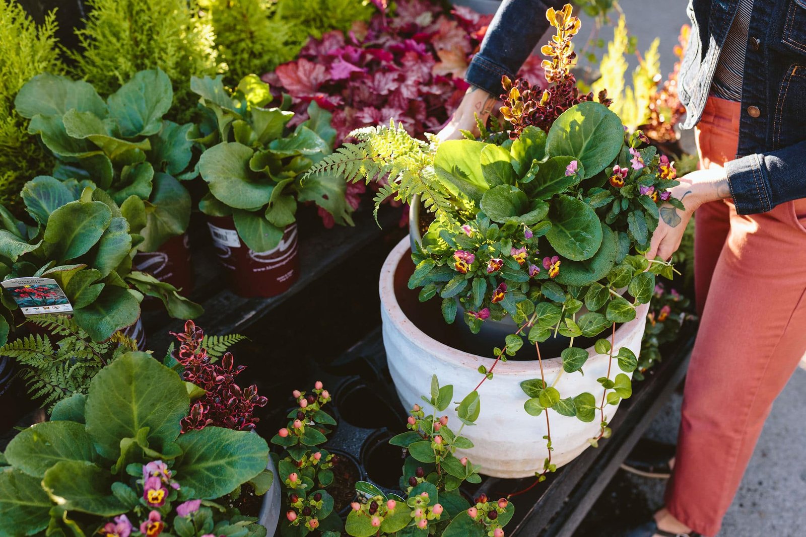 Container Garden Planting, Care & Maintenance