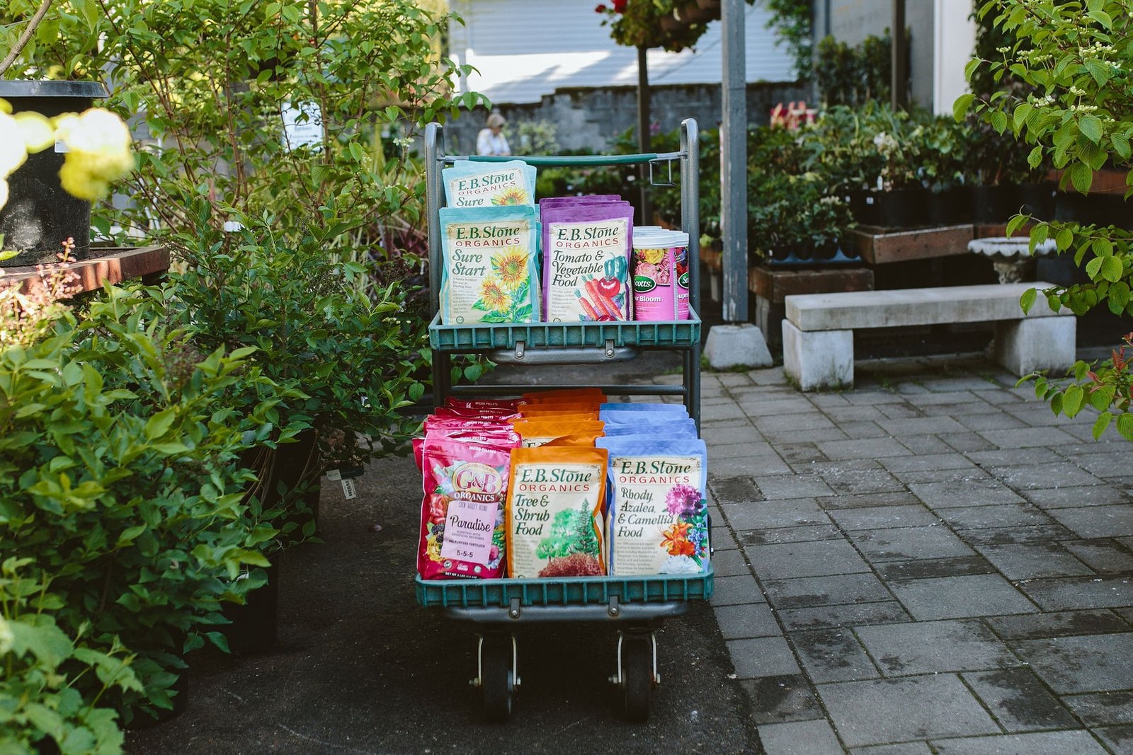 Fertilizer 101: The Ultimate Guide to Plant Nutrition
