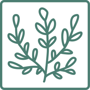 Living Walls