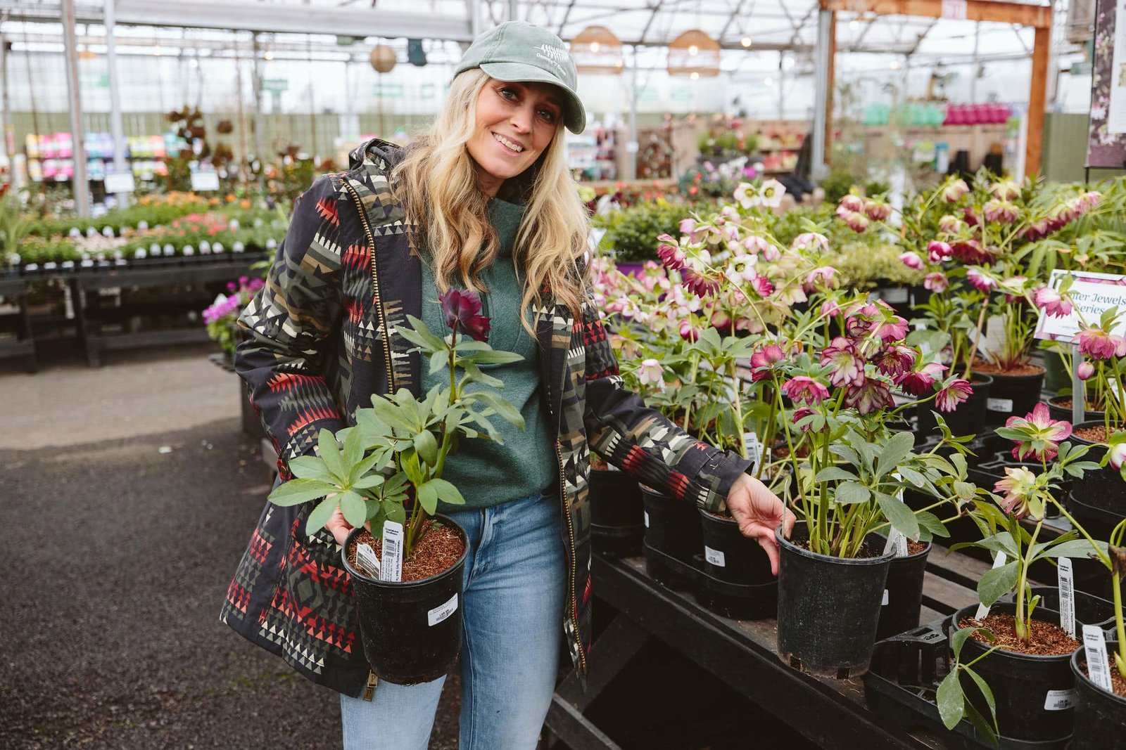 2025 Holiday Gift Guide: 7 Best Plants for Thoughtful, Long-Lived Gifts