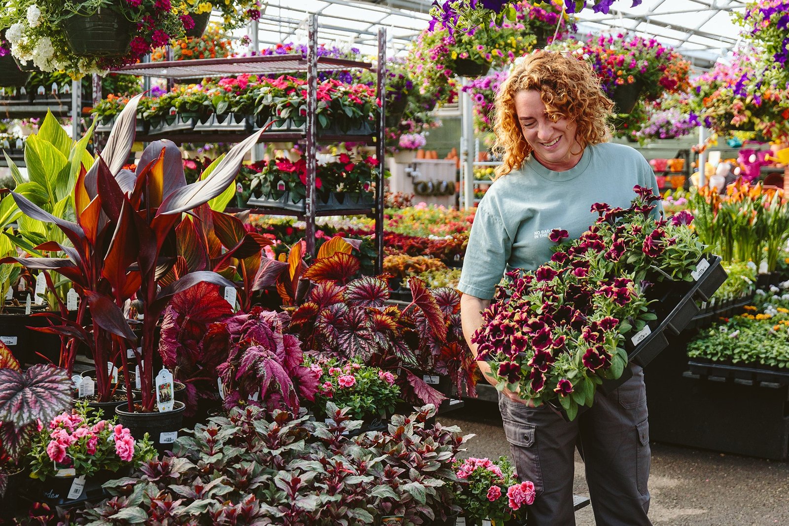 Designer Tips for Creating a Tropical Container Garden