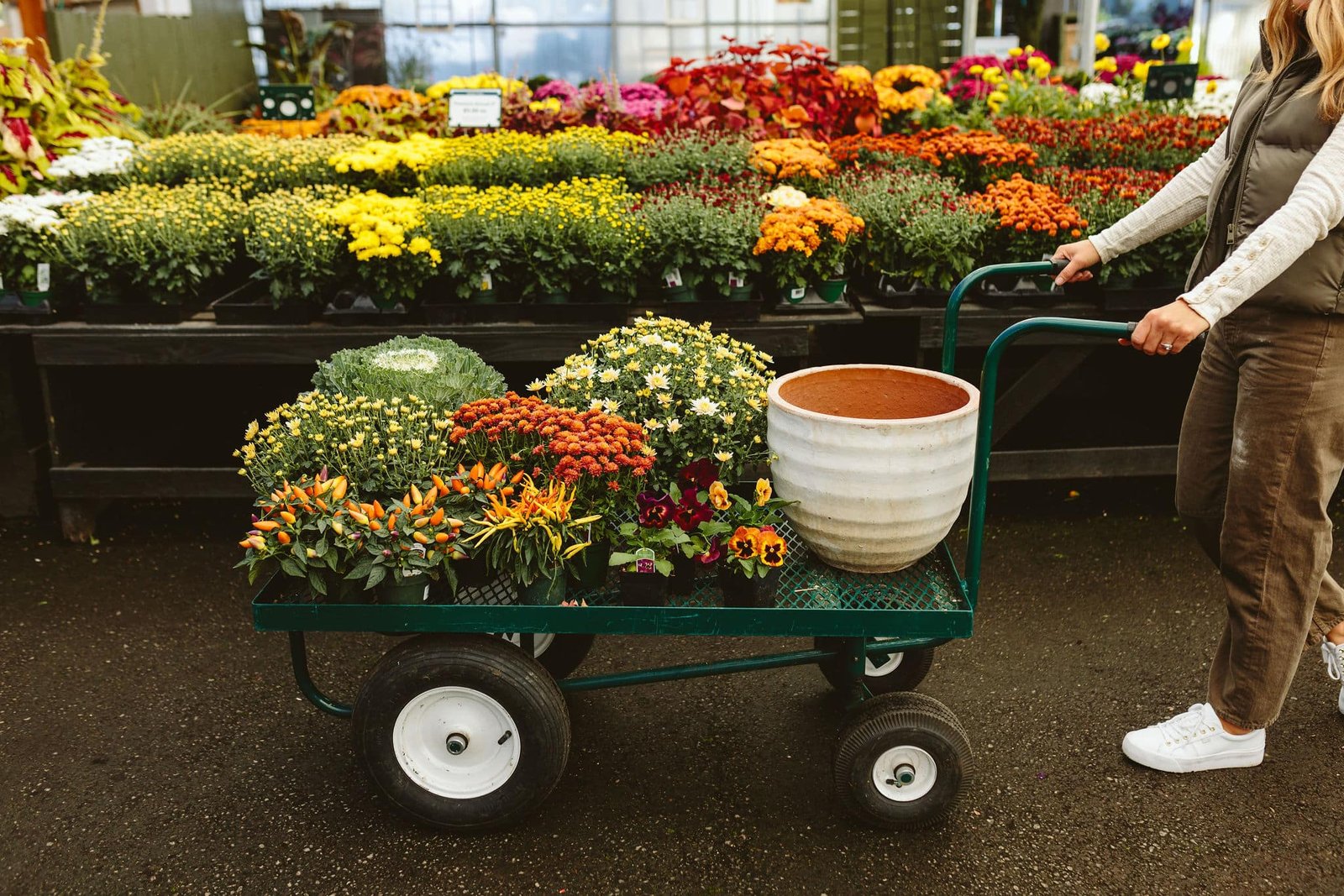 Fall plants on a cart at Dennis' 7 Dees Garden Center