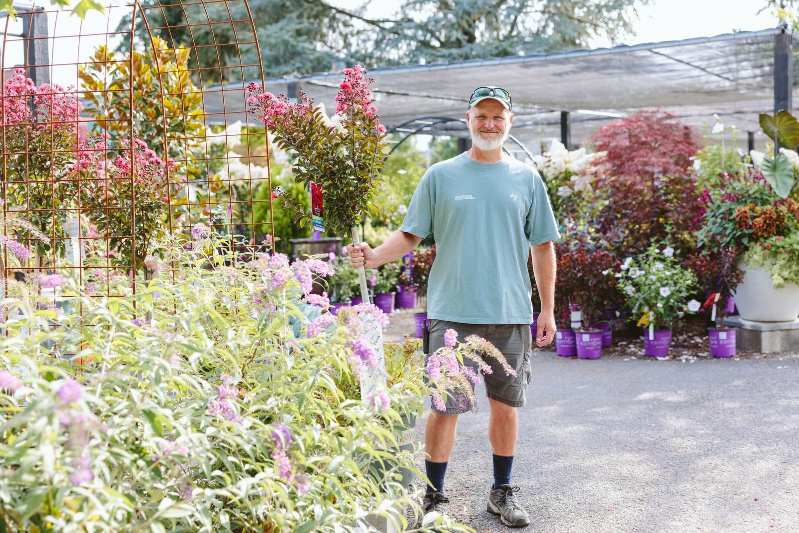 12 Fantastic Trees Under 20 Feet Tall