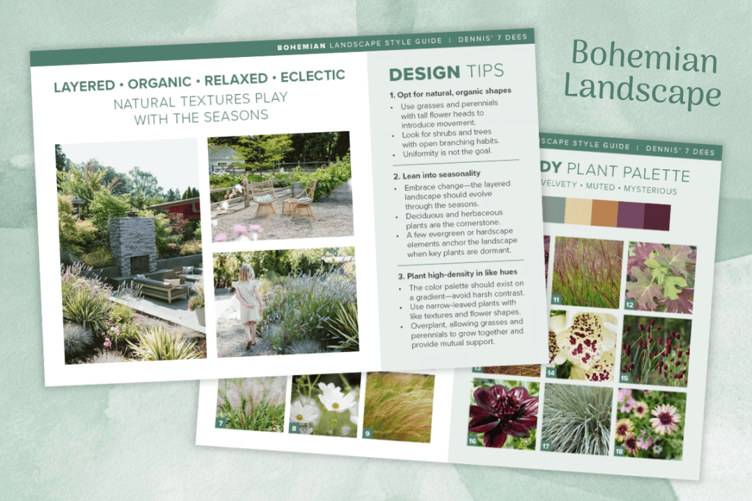 D7D Landscape Design Guide Preview - Bohemian