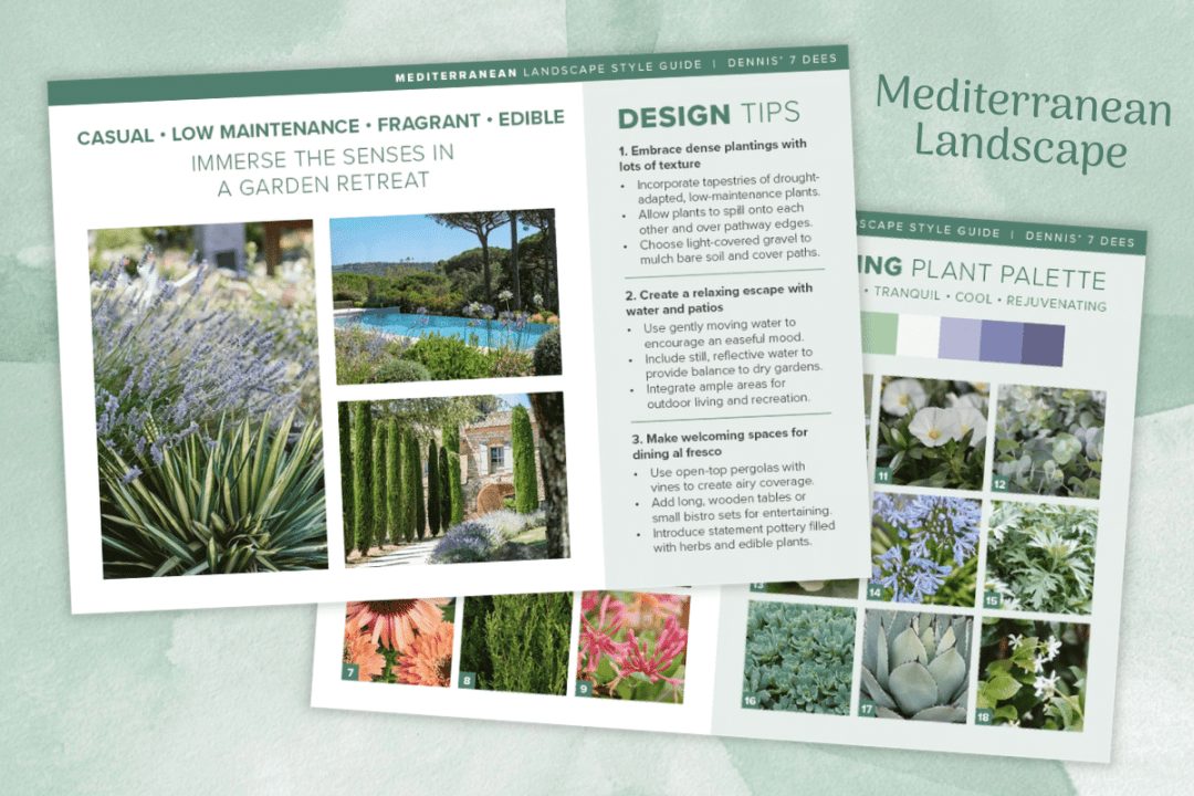 D7D Landscape Design Guide Preview - Mediterranean