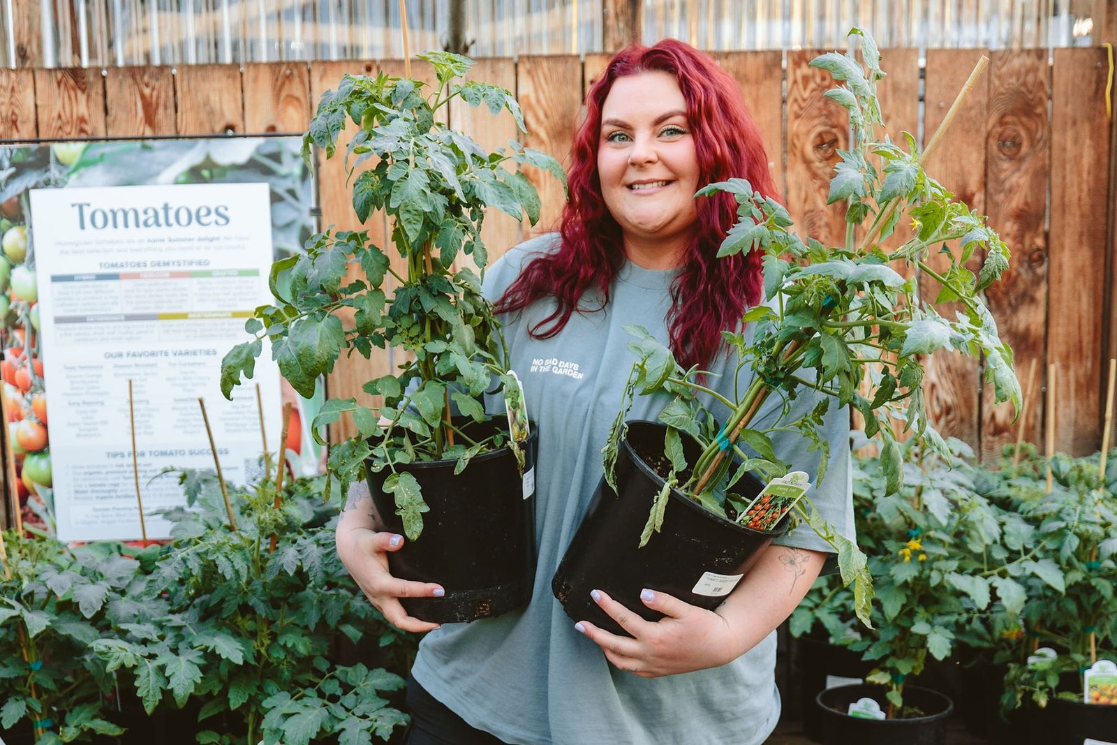 How to Choose the Best Tomatoes for Your Garden
