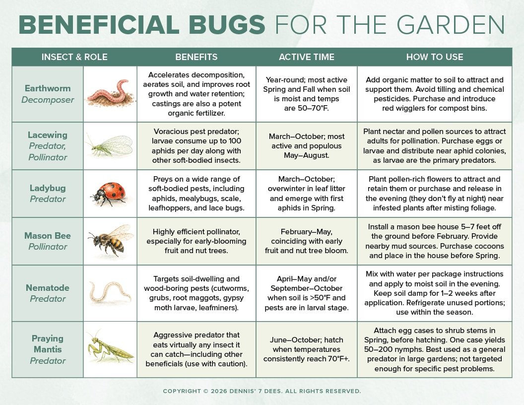 Beneficial Insects in the Garden Chart