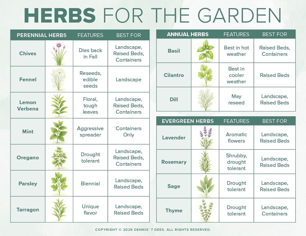 homegrown herbs informational chart