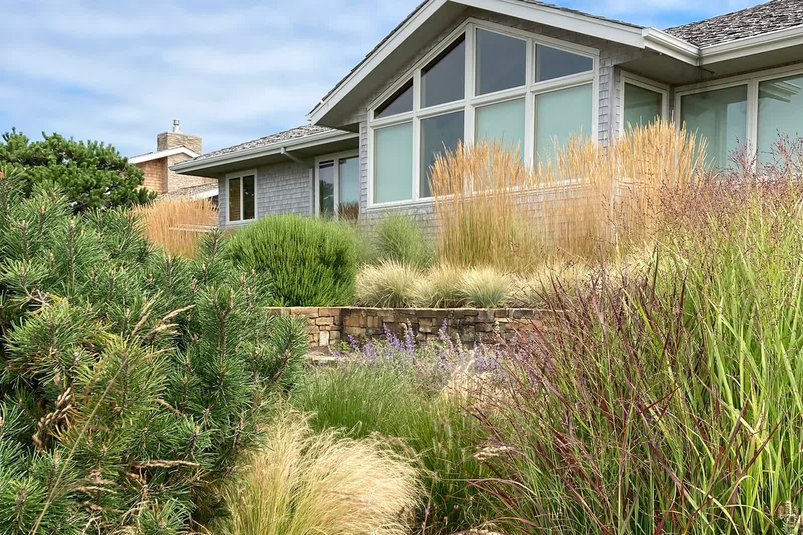 7 Best Coastal Plants for Pacific Northwest Gardens