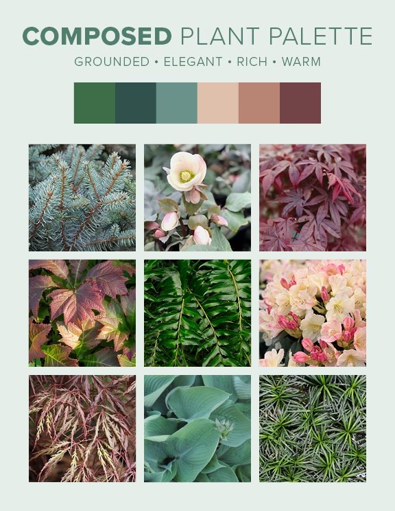 Composed plant palette from pacific Northwest landscape design guide