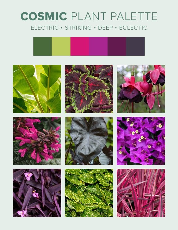 Cosmic plant palette from Tropical landscape design guide