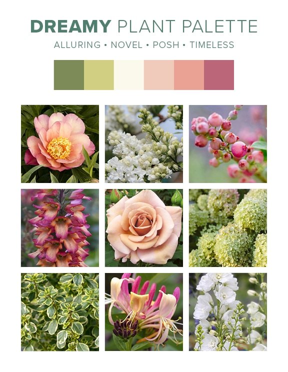 Dreamy plant palette from Cottage landscape design guide