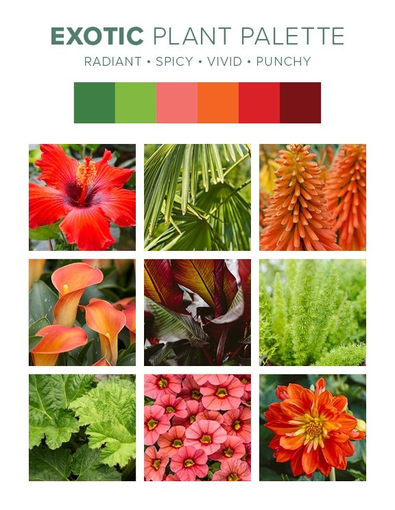 Exotic plant palette from Tropical landscape design guide