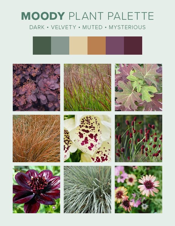 Moody plant palette from Bohemian landscape design guide