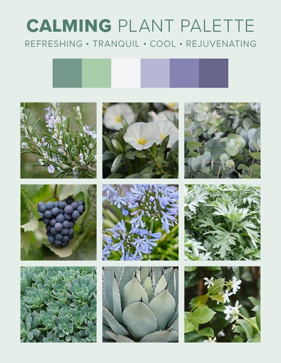 D7D Design Guide Plant Palettes - Calming