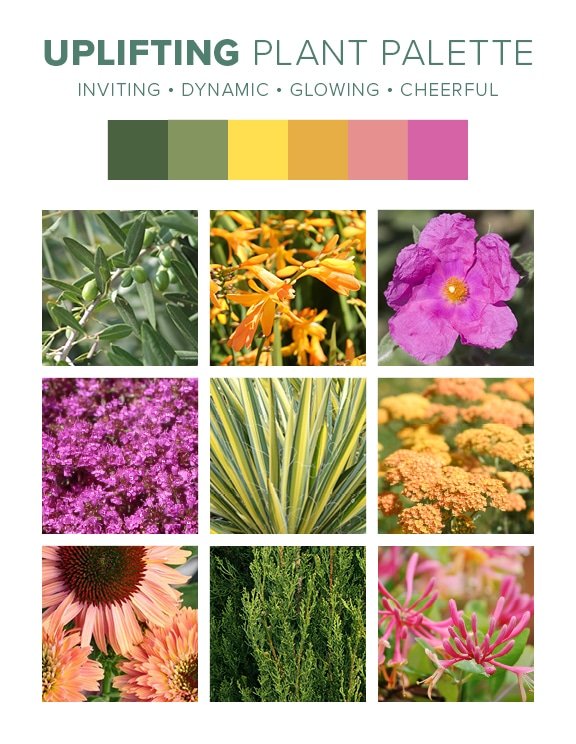 D7D Design Guide Plant Palettes - Uplifting