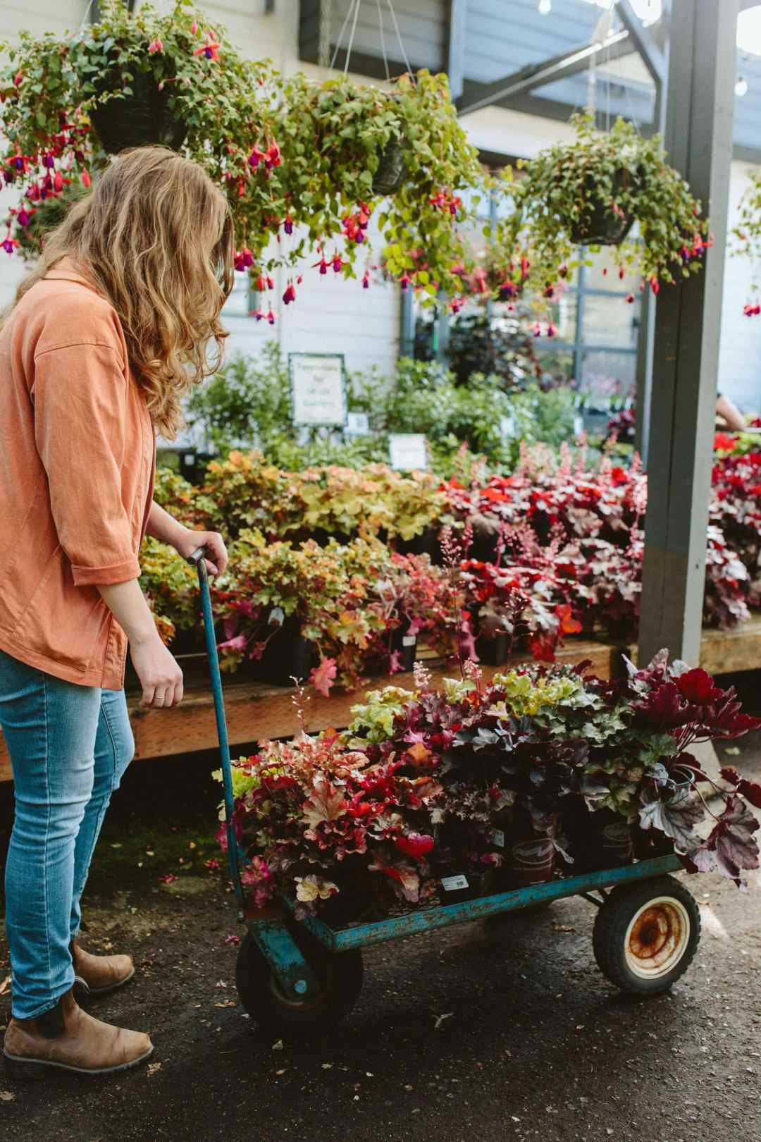 woman shopping for heuchera coral bells at 7 Dees Garden Center