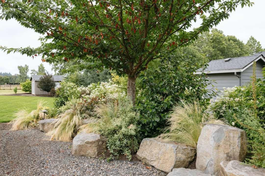 7 Dees landscape area with boulders, ornamental grasses, and shrubs
